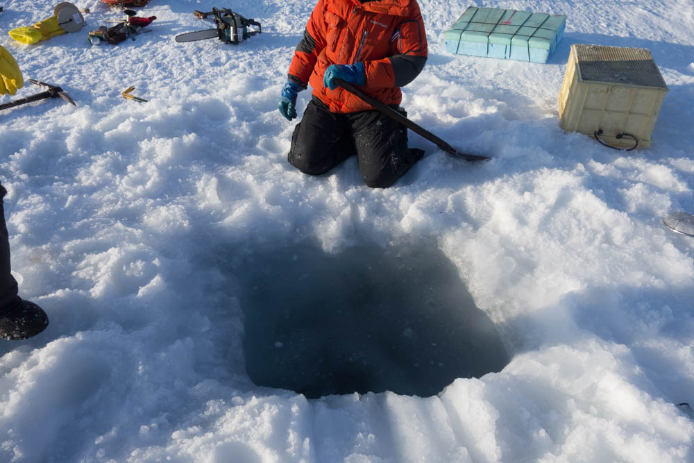 海氷上に穴をあけたところ